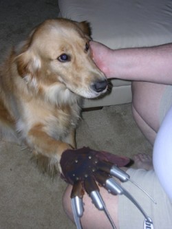 freddy