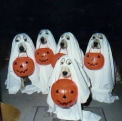 ghosts