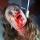 Great Horror Films That I Will Never See Again