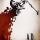 Horror Community Highlights – February 5, 2010