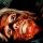 Horror Community Highlights – October 29, 2009
