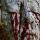 Eleven Horror Movie Plants With Whom You Should Not F